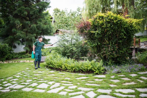 Best Ant Control Services  in Gladstone, MO