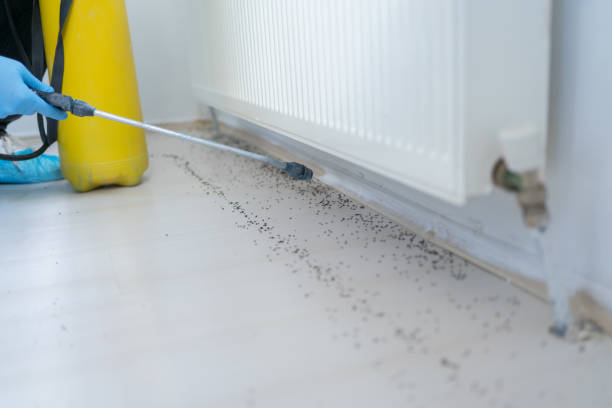 Best Best Pest Control Companies  in Gladstone, MO