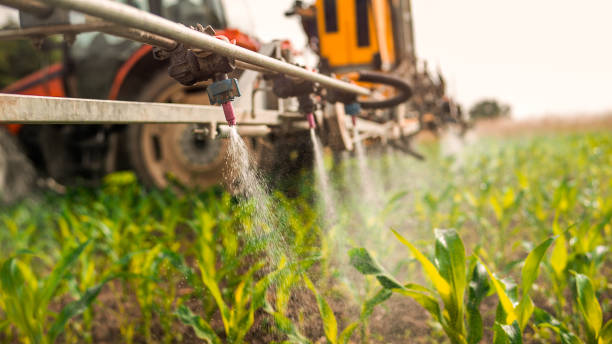 Best Pest Removal Services  in Gladstone, MO